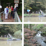 test3